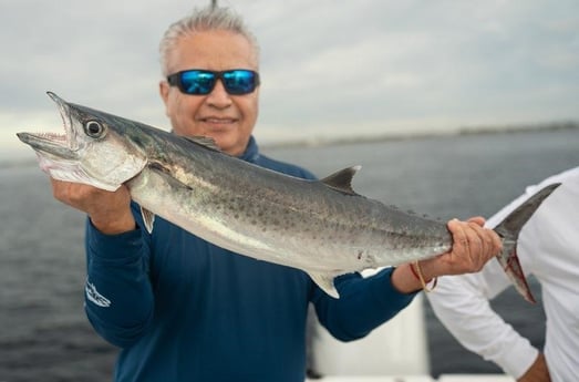 Kingfish Fishing in Boynton Beach, Florida