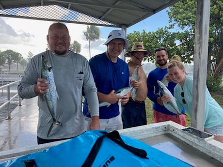 Spanish Mackerel Fishing in St. Petersburg, Florida