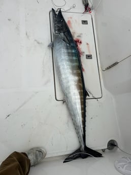 Fishing in Carolina Beach, North Carolina