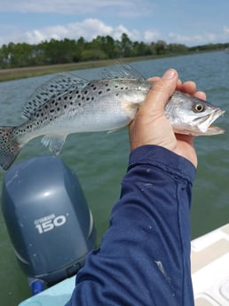 Redfish fishing in Folly Beach, South Carolina