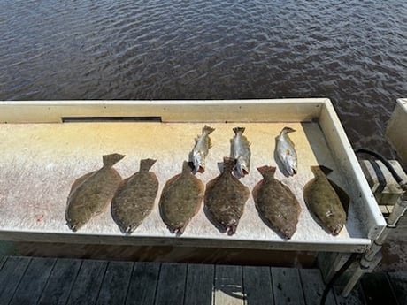 Flounder, Speckled Trout Fishing in Freeport, Texas