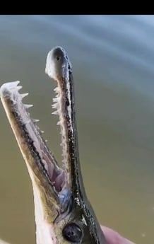 Fishing in Pembroke Pines, Florida