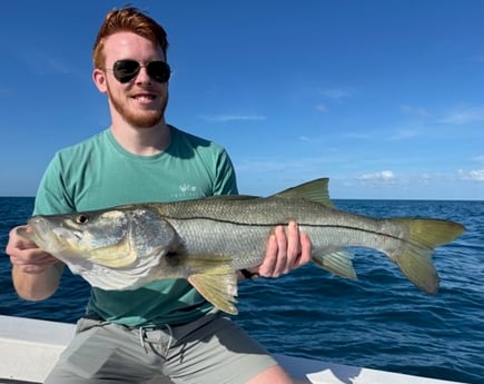 Fishing in Naples, Florida