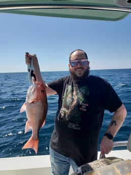 Red Snapper, Triggerfish fishing in Pensacola, Florida