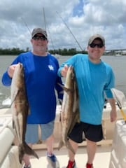 Cobia Fishing in Charleston, South Carolina