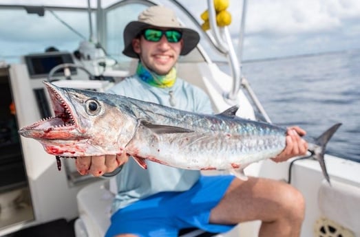 Kingfish Fishing in Boynton Beach, Florida