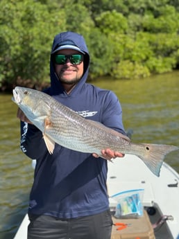Fishing in St. Petersburg, Florida