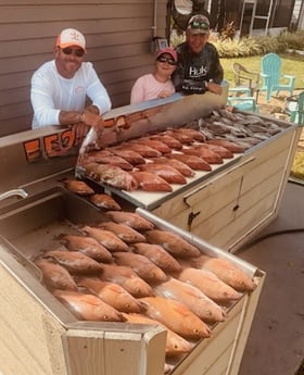 Fishing in Crystal River, Florida