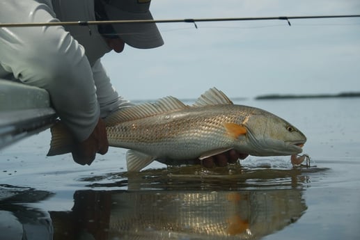 Fishing in Key Largo, Florida