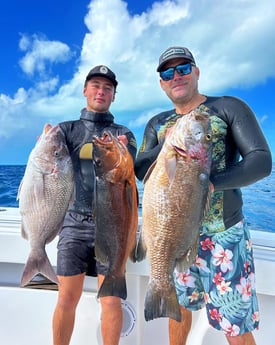 Cubera Snapper, Scup Fishing in Islamorada, Florida
