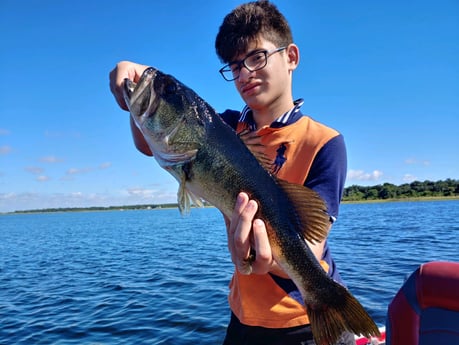 Largemouth Bass fishing in Kissimmee, Florida