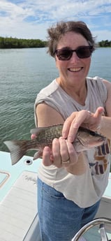 Fishing in Naples, Florida