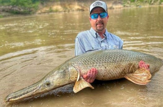 Alligator Gar Fishing in Dallas, Texas