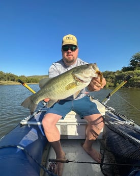 Largemouth Bass Fishing in Graford, Texas
