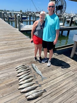 Fishing in Orange Beach, Alabama