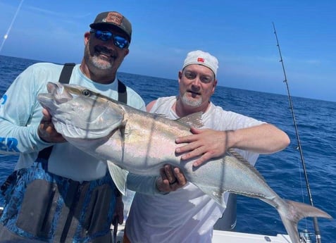 Amberjack Fishing in Clearwater, Florida