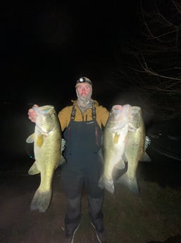 Largemouth Bass fishing in Jonestown, Texas