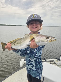 Fishing in New Smyrna Beach, Florida