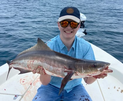 Cobia Fishing in Beaufort, North Carolina