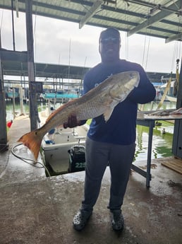 Redfish Fishing in Galveston, Texas