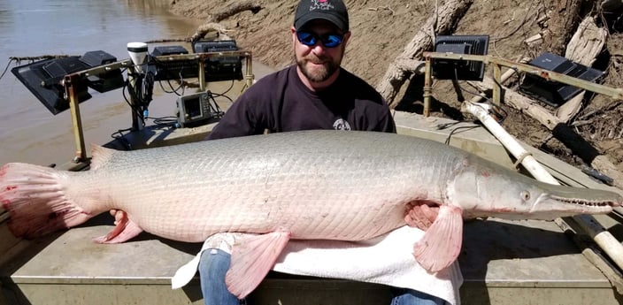 Alligator Gar fishing in Corsicana, Texas