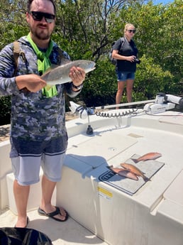 Fishing in St. Petersburg, Florida