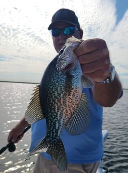 Crappie Fishing in Clewiston, Florida