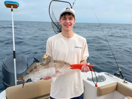Red Grouper Fishing in
