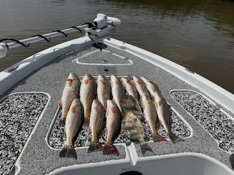 Fishing in Buras, Louisiana