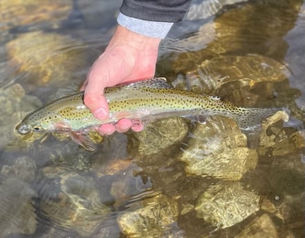 Fishing in Hume, California