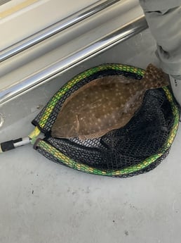 Flounder Fishing in Palacios, Texas