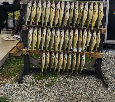 Fishing in Sheffield Lake, Ohio