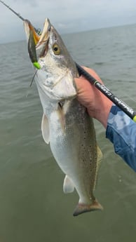 Fishing in Matagorda, Texas
