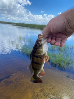 Fishing in Pembroke Pines, Florida