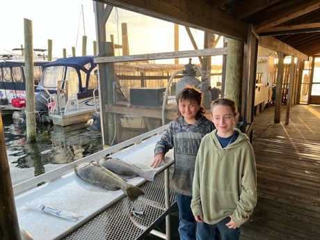 Gag Grouper Fishing in Crystal River, Florida