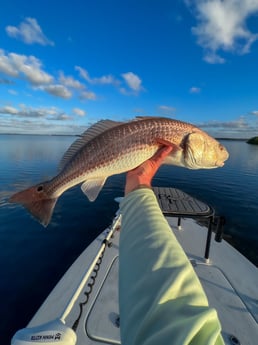 Redfish Fishing in New Smyrna Beach, Florida