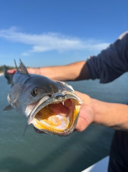 Fishing in Cedar Point, North Carolina