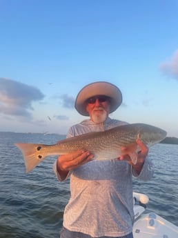 Fishing in Tampa, Florida
