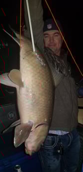 Carp Fishing in Livingston, Texas