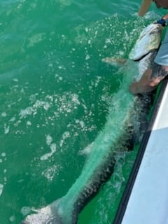 Fishing in Lakeland, Florida