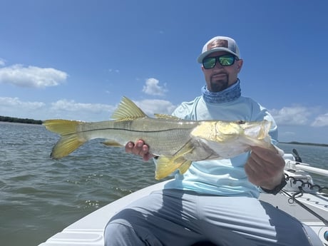 Fishing in Miami, Florida