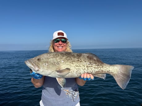 Fishing in Clearwater, Florida