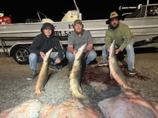 Fishing in Victoria, Texas