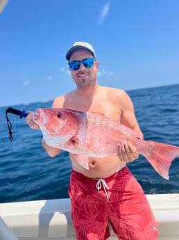 Red Snapper Fishing in Mount Pleasant, South Carolina