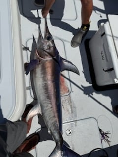 Fishing in St. Petersburg, Florida