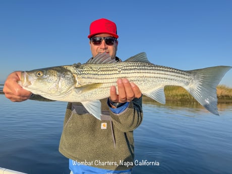 Fishing in Napa, California