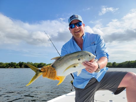 Jack Crevalle Fishing in San Juan, Puerto Rico