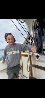 Mako Shark Fishing in