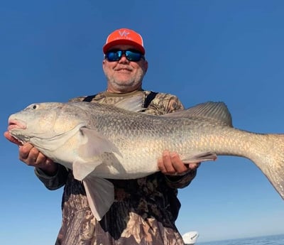 Black Drum Fishing in Boothville-Venice, Louisiana, USA