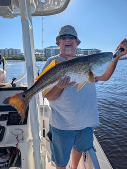 Fishing in Edgewater, Florida